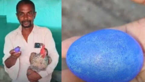కామారెడ్డి జిల్లాలో వరద బీభత్సం.. గ్రామాలకు గ్రామాలే ఖాళీ..!