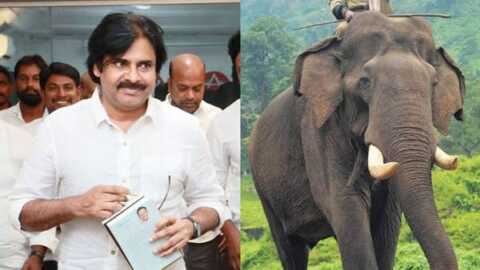 కుంకీ ఏనుగుల తొలి ఆపరేషన్ విజయవంతం: పవన్ కల్యాణ్.
