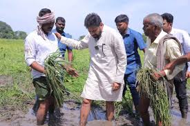 తుఫాన్ బాధితుల పరామర్శ: పవన్ కల్యాణ్ గ్రౌండ్ విజిట్తో వైసీపీ విమర్శలకు చెక్?