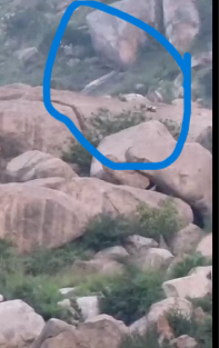 కదిరి లక్ష్మీనరసింహస్వామి కొండపై చిరుత సంచారం: భక్తుల్లో నెలకొన్న భయాందోళనలు