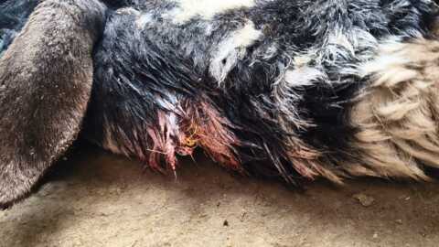 సుమన్ టీవీకి కింది సెంటర్లలో పనిచేయుటకు విలేకరులు కావలెను.