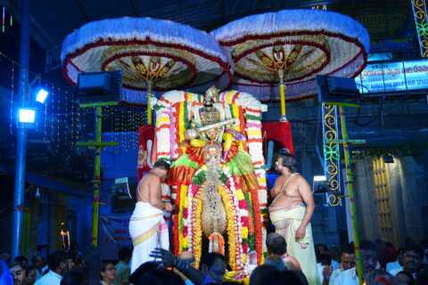 హంస వాహనంపై శ్రీ శారదా స్వరూపుడై దర్శనమిస్తున్న శ్రీవారు