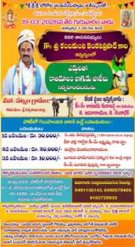 కొత్త ఇంట్లోకి అడుగుపెట్టిన ‘దంగల్’ బ్యూటీ: ముంబైలో ఘనంగా సాన్యా మల్హోత్రా గృహప్రవేశం