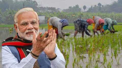 రైతులకు గుడ్ న్యూస్.. పంటల మద్దతు ధరను పెంచుతూ కేంద్రం నిర్ణయం..