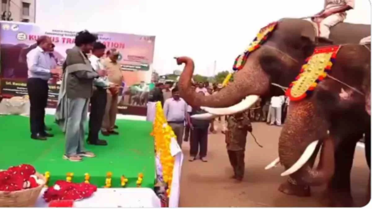 మంగళగిరి కార్యాలయం వద్ద కుంకీ ఏనుగులకు స్వాగతం పలికిన పవన్ కల్యాణ్..