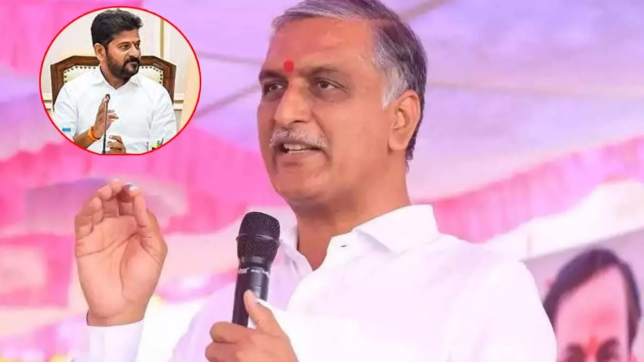 తెలంగాణ సాధనలో జయశంకర్ సార్ పాత్ర మరువలేనిది: హరీశ్ రావు