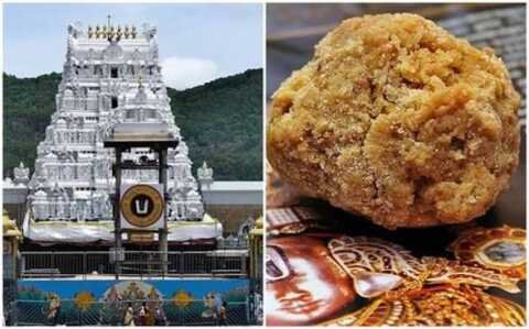 తిరుమల లడ్డులో అసలు నెయ్యే లేదా..? ఈడీ క్లారిటీ..!