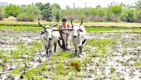 రైతులకోసం తెలంగాణ సర్కార్ కొత్త సేవలు..!